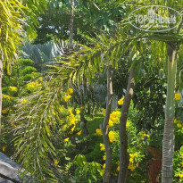 фото из отзыва ID 2708714