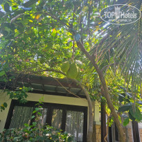 фото из отзыва ID 2708714