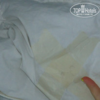 фото из отзыва ID 271159