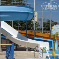 фото из отзыва ID 271518