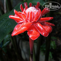 фото из отзыва ID 271359