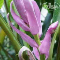 фото из отзыва ID 271359