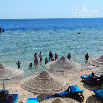 фото из отзыва ID 2710034