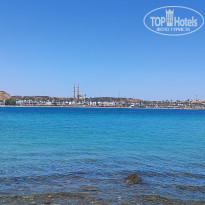 фото из отзыва ID 2710034