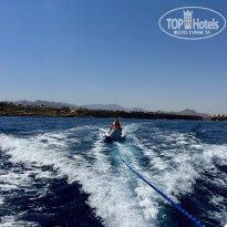 фото из отзыва ID 2710103