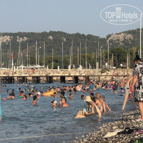 фото из отзыва ID 2710104