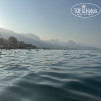 фото из отзыва ID 2710104