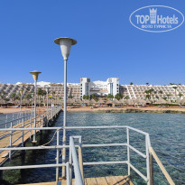 фото из отзыва ID 2710128