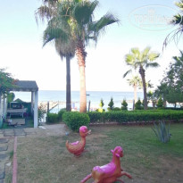 фото из отзыва ID 2710138