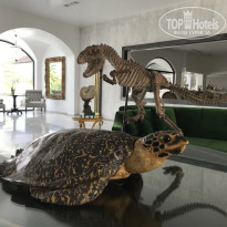 фото из отзыва ID 2710172