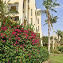 фото из отзыва ID 2710173