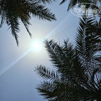 фото из отзыва ID 2710173