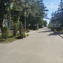 фото из отзыва ID 2710180