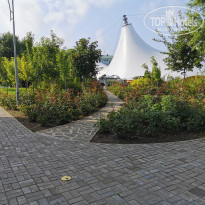 фото из отзыва ID 2710180