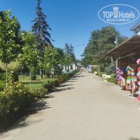 фото из отзыва ID 2710180