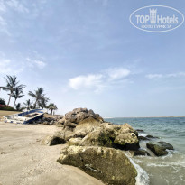 фото из отзыва ID 2710173