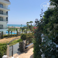 фото из отзыва ID 2710194