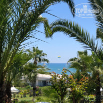 фото из отзыва ID 2710194