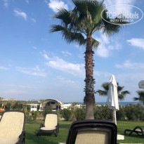 фото из отзыва ID 2710194