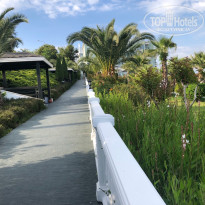 фото из отзыва ID 2710194