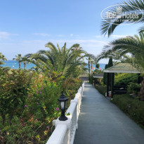 фото из отзыва ID 2710194