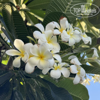 фото из отзыва ID 2710211