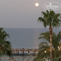 фото из отзыва ID 2710234