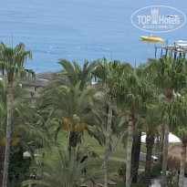 фото из отзыва ID 2710234