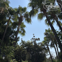 фото из отзыва ID 2710254