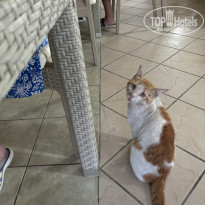 фото из отзыва ID 2710296