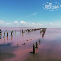 фото из отзыва ID 2710303