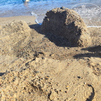 фото из отзыва ID 2710311