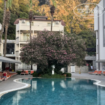 фото из отзыва ID 2710314