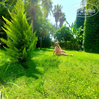 фото из отзыва ID 2710323