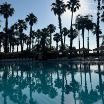 фото из отзыва ID 2710323