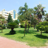 фото из отзыва ID 2710323