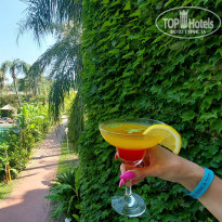 фото из отзыва ID 2710323