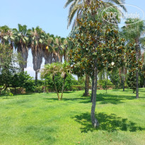 фото из отзыва ID 2710323