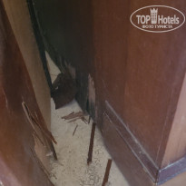 фото из отзыва ID 2710333