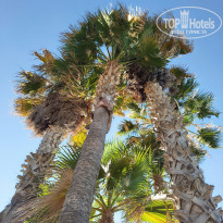 фото из отзыва ID 2710381