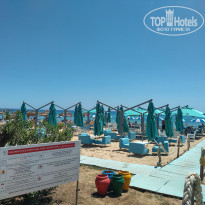 фото из отзыва ID 2710381