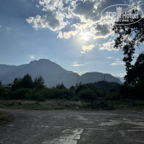 фото из отзыва ID 2710398