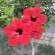 фото из отзыва ID 2710266