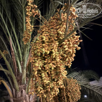 фото из отзыва ID 2710425