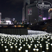 фото из отзыва ID 2710442