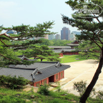 фото из отзыва ID 2710442