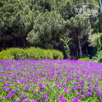 фото из отзыва ID 2710468