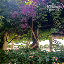 фото из отзыва ID 2710468