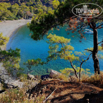 фото из отзыва ID 2710498