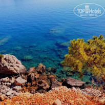 фото из отзыва ID 2710498